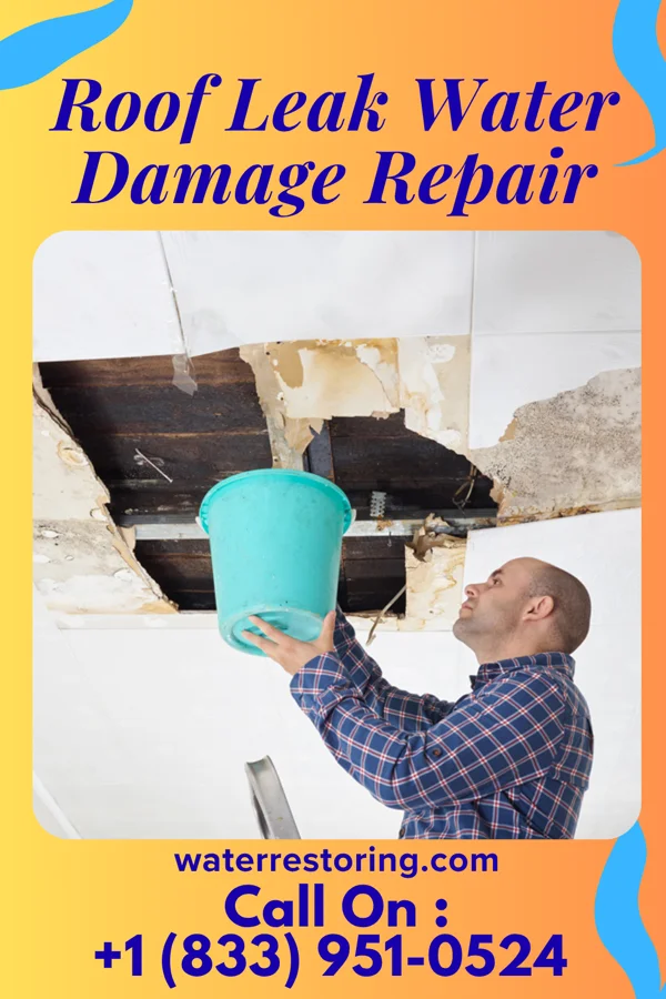 Roof Leak Water Damage Repair in Garceno, TX