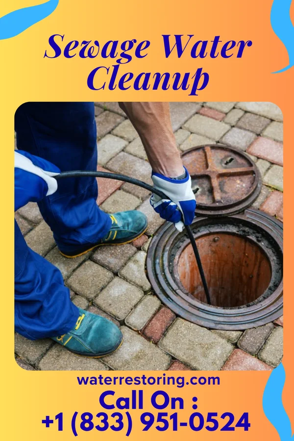 Sewage Water Cleanup in Garceno, TX